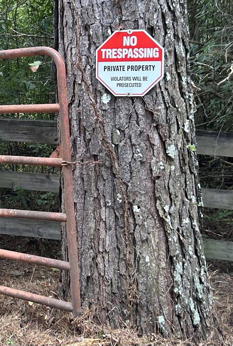 Gate open and held open against the pine tree